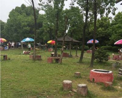 终于找全了杭州人最爱去的农家乐！垂钓划船、摘菜做饭，像到了另一时空！