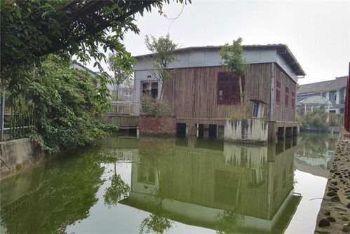 成都出发1小时抵拢 逛千年古镇，耍休闲农家乐，这个周末就约起！