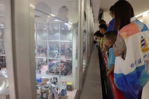 田野到餐桌的守护 农家乐里的食品安全探秘之旅