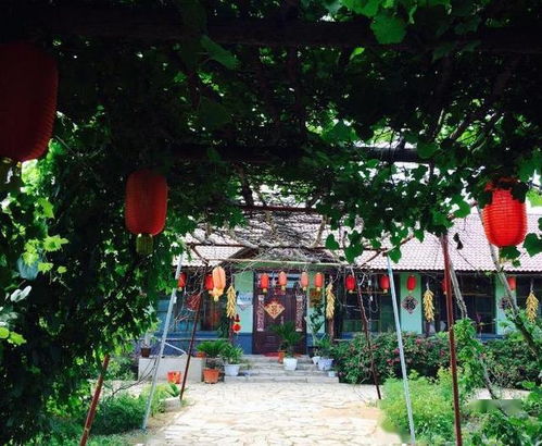 农家乐热潮褪去 昔日繁华背后的现实困境