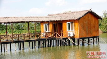 红枫林深处的诗意栖居——红枫林农家乐体验记