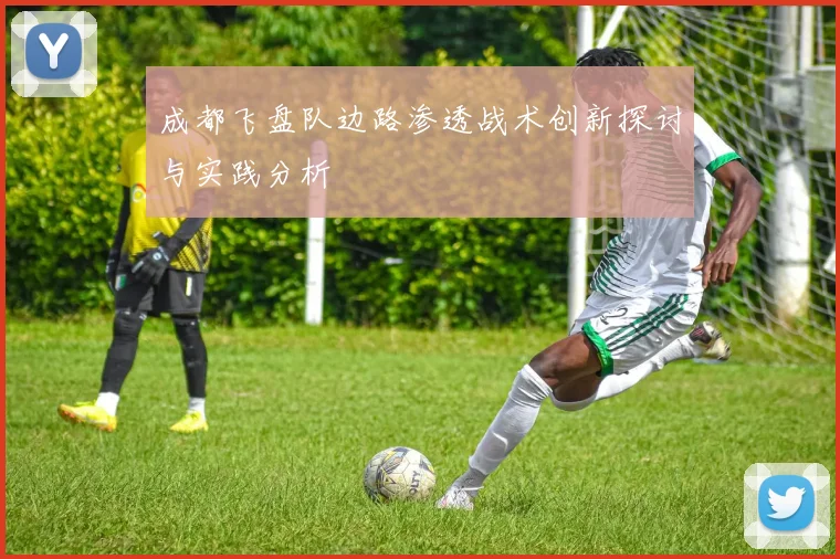 成都飞盘队边路渗透战术创新探讨与实践分析