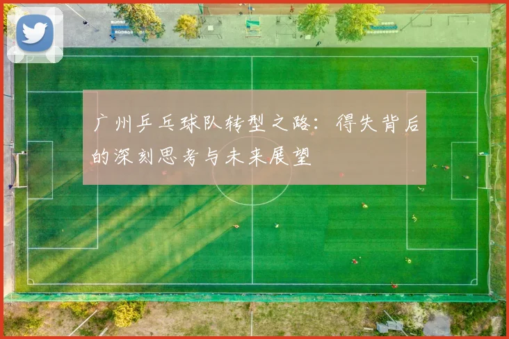 广州乒乓球队转型之路：得失背后的深刻思考与未来展望