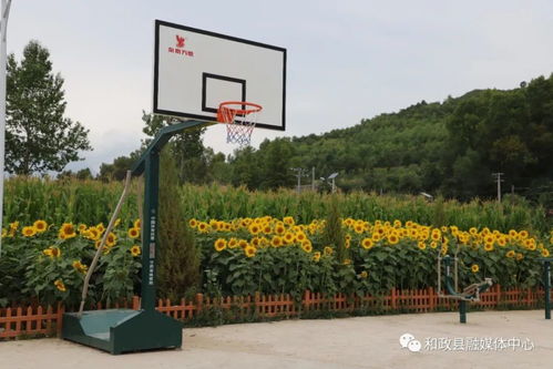 石咀村 葵花经济绽放 农家乐里话振兴