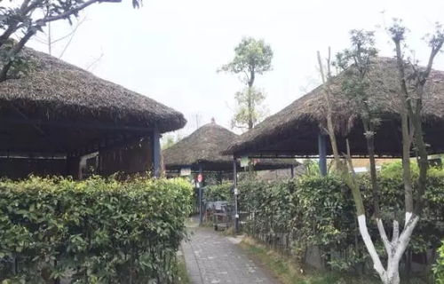 成都周边8个特色农家乐，收好周末就出发！