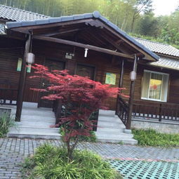 探寻山里香 安吉竹林深处的农家乐之旅